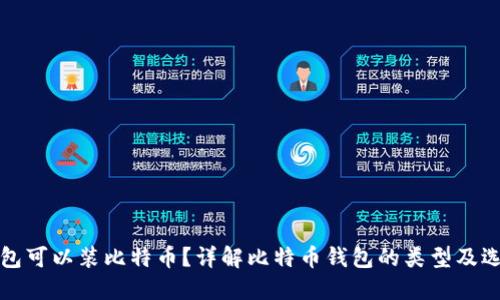 哪个钱包可以装比特币？详解比特币钱包的类型及选择指南