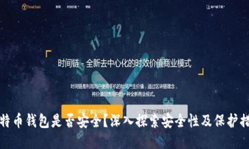 比特币钱包是否安全？深入探索安全性及保护措施