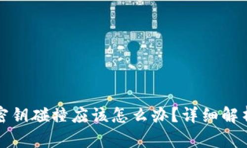 比特币钱包密钥碰撞应该怎么办？详细解析与解决方案
