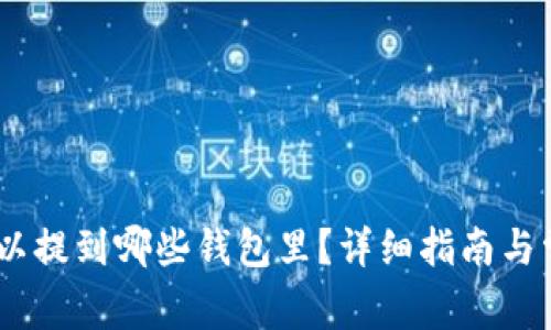 USDT提币可以提到哪些钱包里？详细指南与常见问题解答