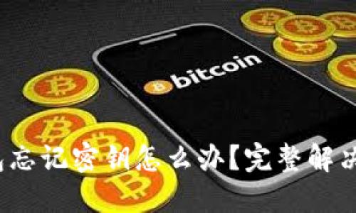  比特币钱包忘记密钥怎么办？完整解决方案与建议
