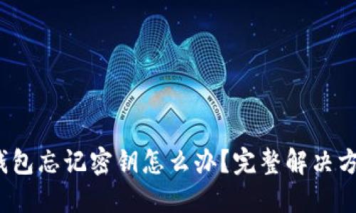  比特币钱包忘记密钥怎么办？完整解决方案与建议