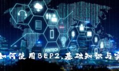 TP钱包如何使用BEP2，基础