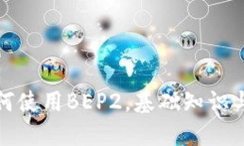 TP钱包如何使用BEP2，基础知识与实用技巧