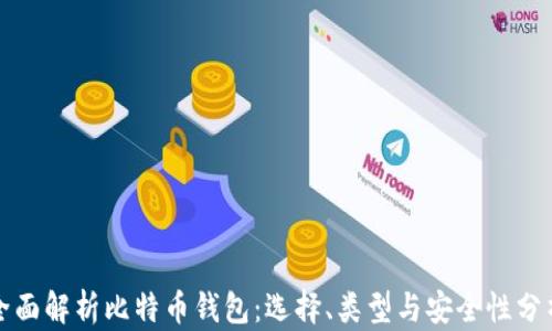
全面解析比特币钱包：选择、类型与安全性分析