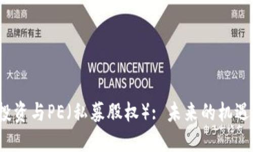 Web3投资与PE（私募股权）: 未来的机遇与挑战