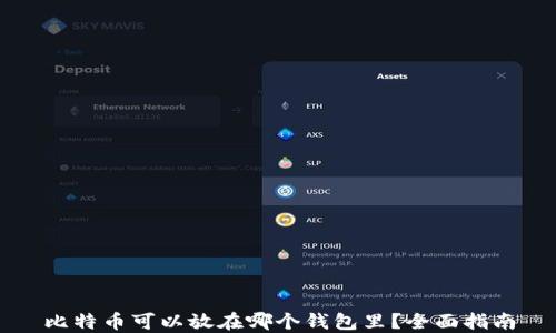 
比特币可以放在哪个钱包里？全面指南