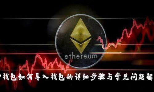 TP钱包如何导入钱包的详细步骤与常见问题解答