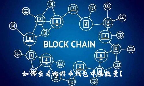 如何查看比特币钱包中的数量？