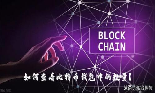 如何查看比特币钱包中的数量？