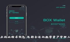 意大利比特币钱包：选择
