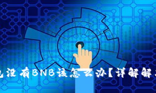 TP钱包没有BNB该怎么办？详解解决方案