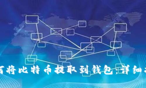如何将比特币提取到钱包：详细指南