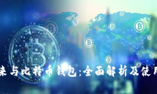 李笑来与比特币钱包：全面解析及使用指南