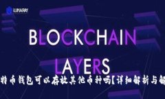 比特币钱包可以存放其他