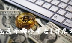 比特币钱包属于哪个平台