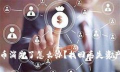 TP钱包中的币消失了怎么办
