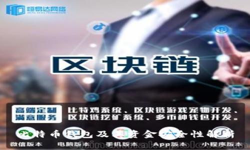 比特币钱包及其资金安全性解析