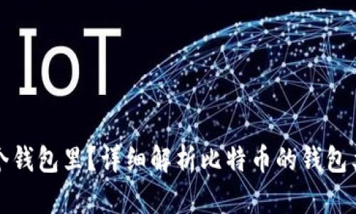 比特币存在哪个钱包里？详细解析比特币的钱包类型与使用技巧