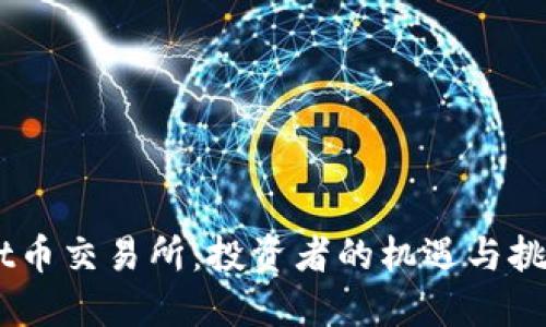 ltt币交易所：投资者的机遇与挑战