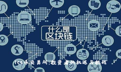 ltt币交易所：投资者的机遇与挑战