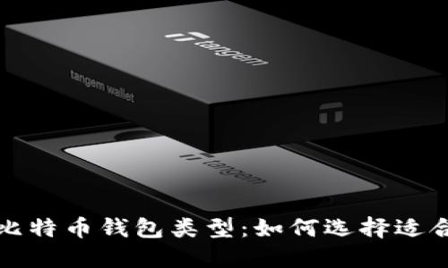 深入探索比特币钱包类型：如何选择适合你的钱包