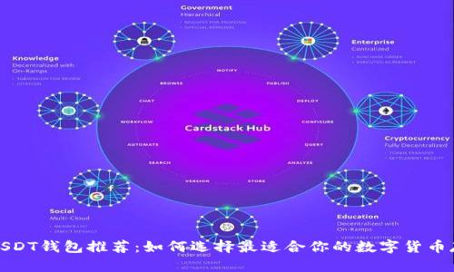 安全的USDT钱包推荐：如何选择最适合你的数字货币存储方式