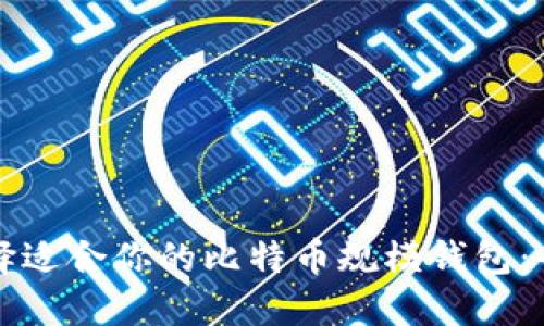 如何选择适合你的比特币规模钱包：全面指南