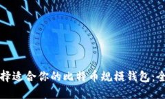 如何选择适合你的比特币规模钱包：全面指南